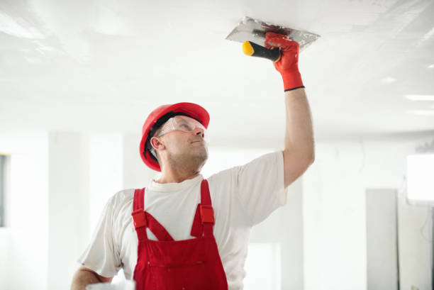 Professional Drywall & Painting Services in Crown Point, IN